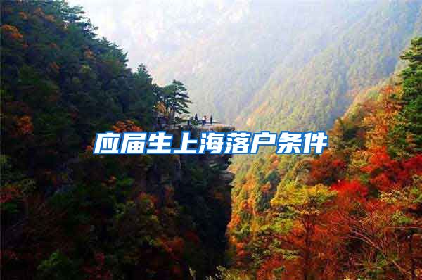 应届生上海落户条件