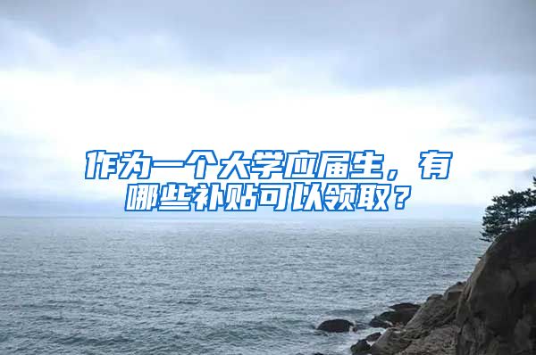 作为一个大学应届生，有哪些补贴可以领取？
