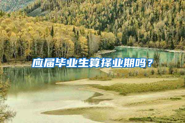 应届毕业生算择业期吗？