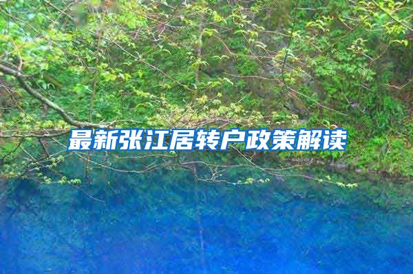 最新张江居转户政策解读
