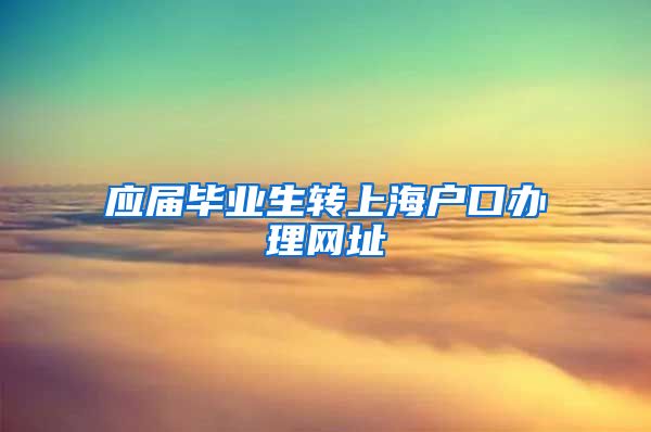 应届毕业生转上海户口办理网址