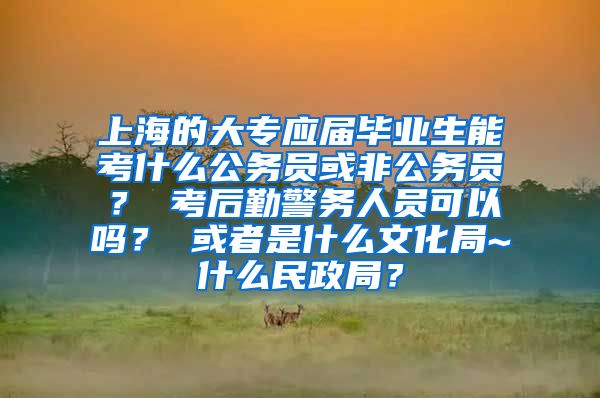 上海的大专应届毕业生能考什么公务员或非公务员？ 考后勤警务人员可以吗？ 或者是什么文化局~什么民政局？