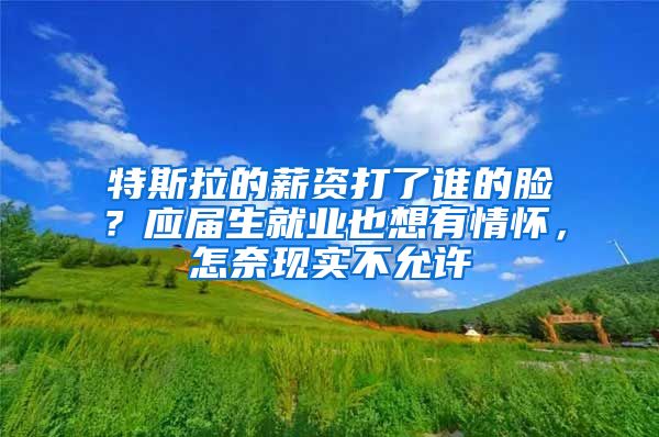 特斯拉的薪资打了谁的脸？应届生就业也想有情怀，怎奈现实不允许