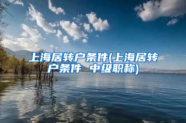 上海居转户条件(上海居转户条件 中级职称)