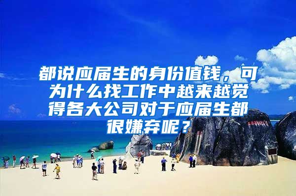 都说应届生的身份值钱，可为什么找工作中越来越觉得各大公司对于应届生都很嫌弃呢？
