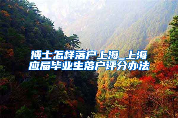 博士怎样落户上海_上海应届毕业生落户评分办法