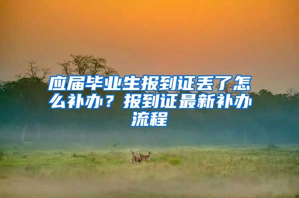 应届毕业生报到证丢了怎么补办？报到证最新补办流程