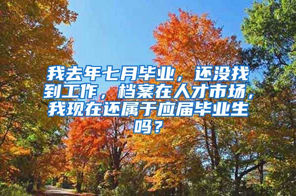 我去年七月毕业，还没找到工作，档案在人才市场，我现在还属于应届毕业生吗？