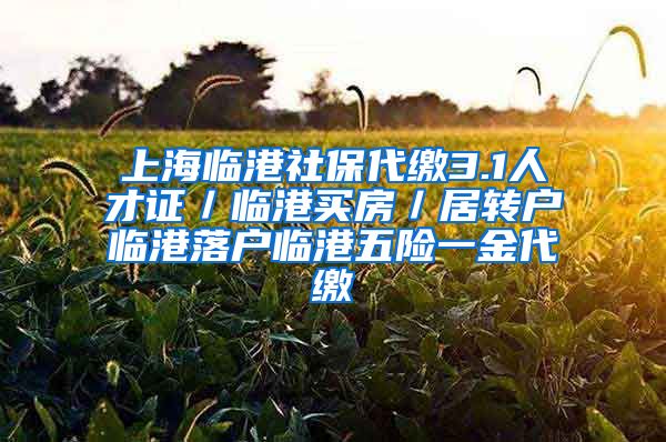 上海临港社保代缴3.1人才证／临港买房／居转户临港落户临港五险一金代缴