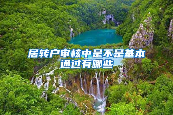 居转户审核中是不是基本通过有哪些