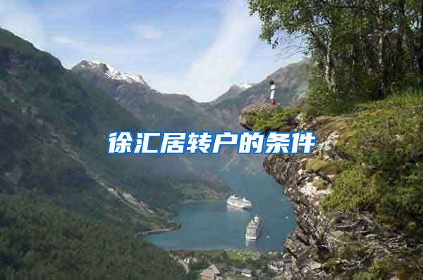 徐汇居转户的条件