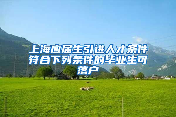 上海应届生引进人才条件符合下列条件的毕业生可落户