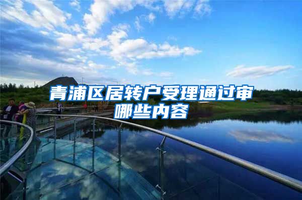 青浦区居转户受理通过审哪些内容