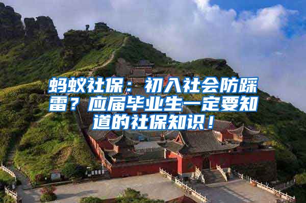 蚂蚁社保：初入社会防踩雷？应届毕业生一定要知道的社保知识！
