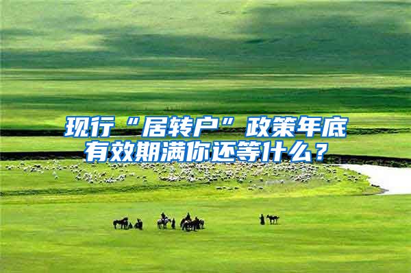 现行“居转户”政策年底有效期满你还等什么？