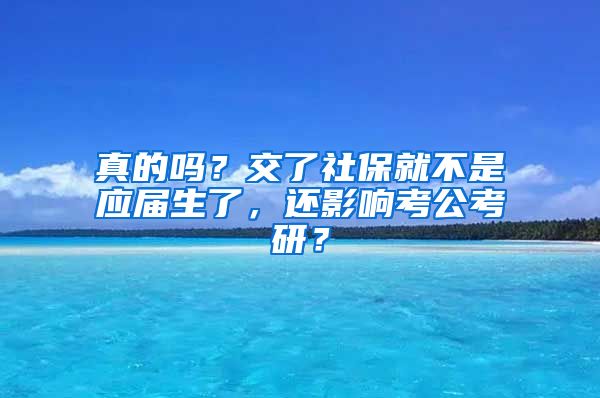 真的吗？交了社保就不是应届生了，还影响考公考研？