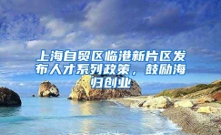 上海自贸区临港新片区发布人才系列政策，鼓励海归创业